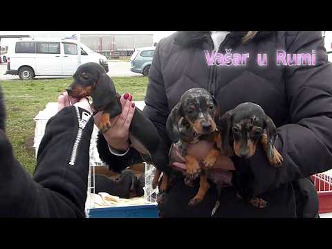 Novogodišnji vašar u Rumi 2 januar 2026.