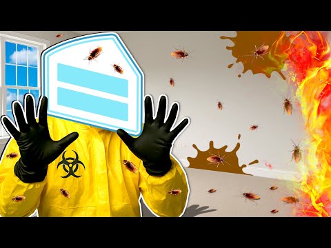 I became a BUG Exterminator and it was a Disaster!