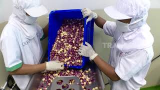 Download lagu SEMUR INSTAN DAN GURITA FROZEN | LAPTOP SI UNYIL (27/08/19) PART 1 mp3 Download lagu SEMUR INSTAN DAN GURITA FROZEN | LAPTOP SI UNYIL (27/08/19) PART 1 mp3