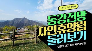 [#트래블숲] 구름을 눈 앞에서 볼 수 있는 동강전망자연휴양림