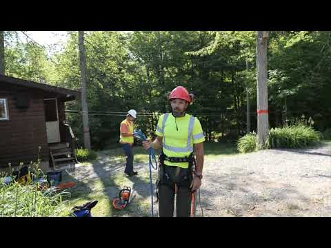 See the team in action! thumbnail