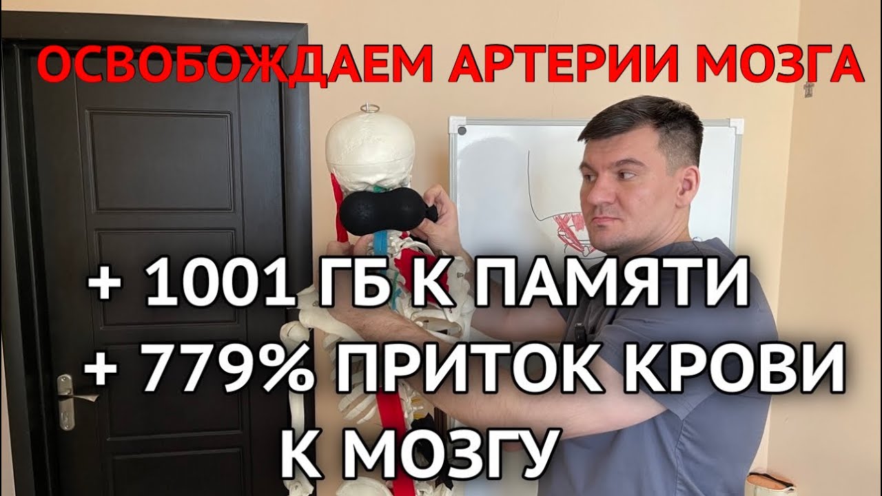 Увеличил приток крови к мозгу в 799 раз и память на 1000 ГБ. Убери спазм сосудов мозга своими руками