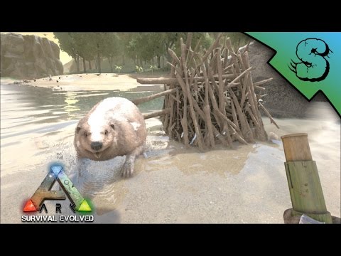 Beaver Dams - Locations & Tips for Looting | Ark: Survival Evolved [E2]