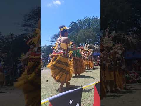 Aonamo Kairuku style