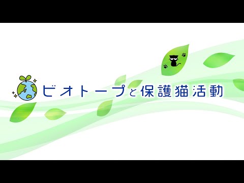 ビオトープと保護猫活動