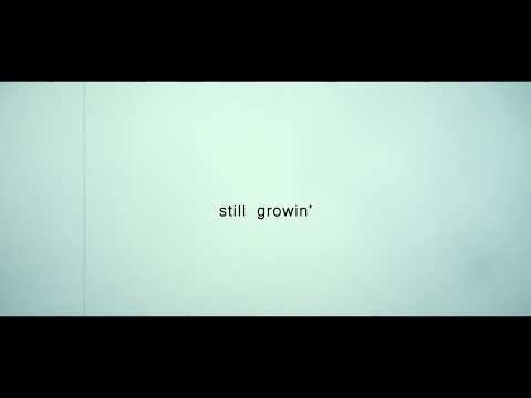 wickerbird - little weavings