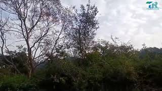 preview picture of video 'Rajaji National Park,  Chilla,  Haridwar'