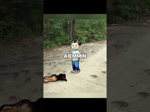 Isoäiti luuli, ettei hänen koiransa enää rakastanut häntä… 😭❤️