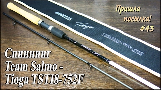 Team salmo tioga 3.5 22