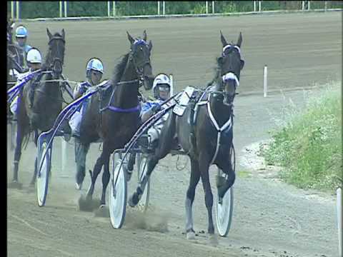 Trotto 26/05/2017 - 6ª corsa