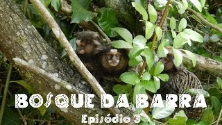 preview picture of video 'BOSQUE DA BARRA -  Cariocando Ep. 03'