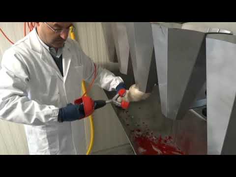 Linea di macellazione manuale
