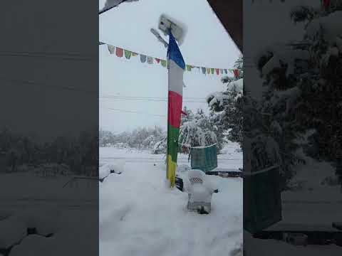 first snowfall in lahul velly 😍🌎🫂...#snowmountain #journey #travelvlog #chailove #sukoon #nature#sub