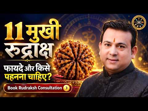 Eleven Mukhi Rudraksha