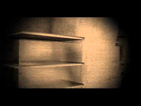 Terrabeats Concept-Shelter (Official) .wmv