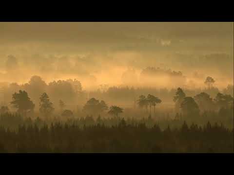 Kirkby Design Sustainable Fabric Launch