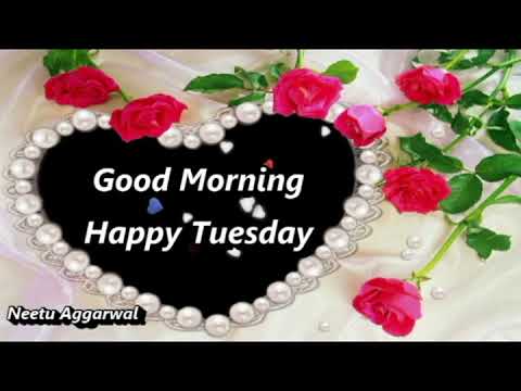 #Tuesday,Happy Tuesday Whatsapp Status Video,Happy Tuesday Status,Wishes,Greetings