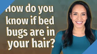 How do you know if bed bugs are in your hair?