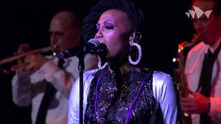 Live Stream CHIC featuring Nile Rodgers trittico (Lost in Music/Notorious/Original Sin) INXS