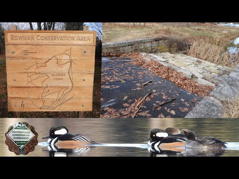 Bowman Conservation Area Westborough Reservoir - Sandra Pond - Westborough Massachusetts