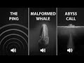 Scary Sounds In Water