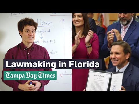 How a Florida bill becomes a law, explained