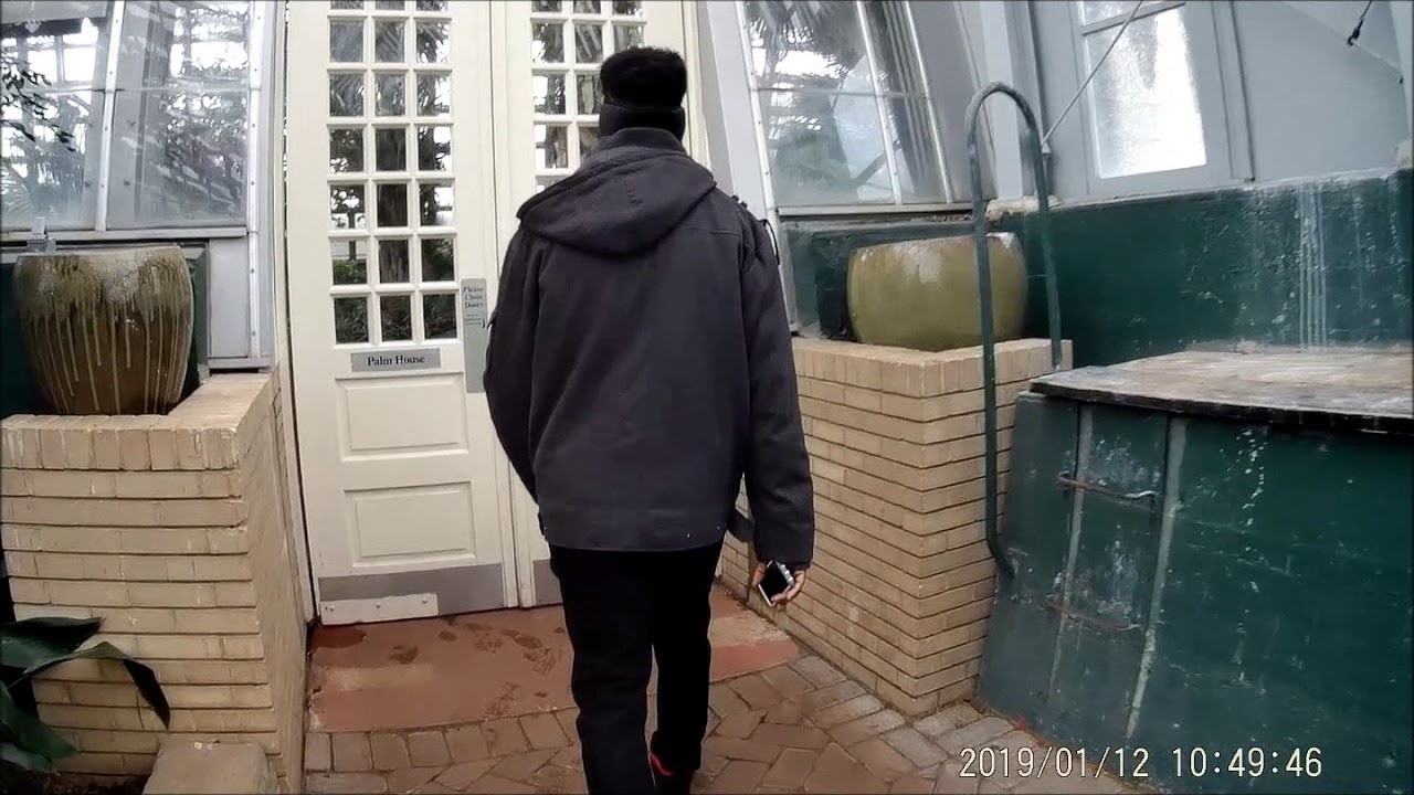 Garfield Park Conservatory!