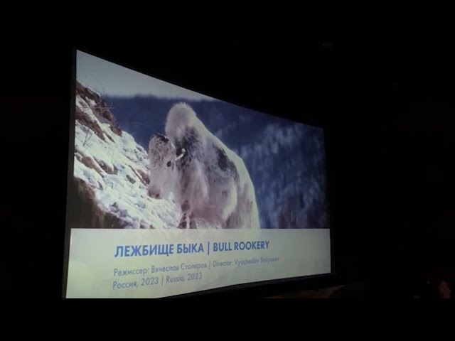 В Иркутске  стартовал кинофестиваль «Человек и природа»