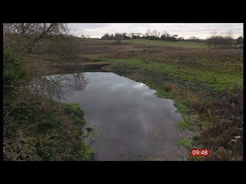 Hundreds of 'lost ponds' restored on Essex farms (UK) 4/Jan/2025