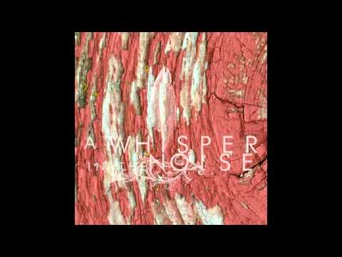 A Whisper in the Noise - To Forget