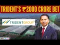 Margins Hit Not Revenues Trident S Big Shift To Domestic Market Rs 2000 Cr Vision Plan