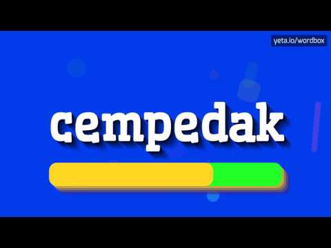 CEMPEDAK - HOW TO PRONOUNCE IT!?