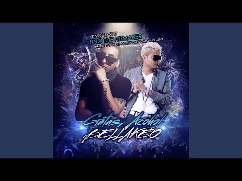 Gatas, Alcohol y Bellakeo