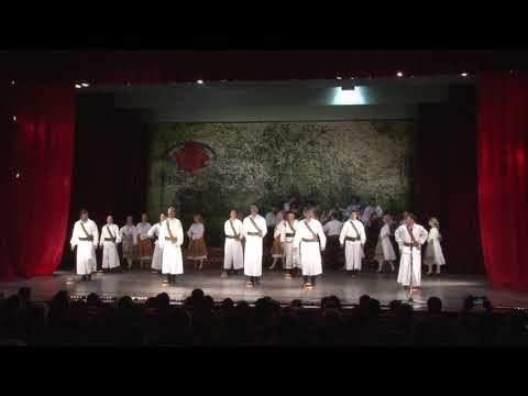 Ansamblul Folcloric Romanasul - Dans din Maramures