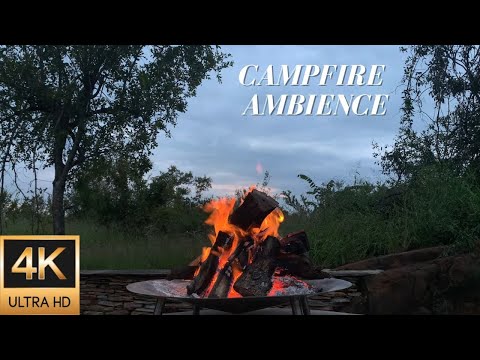 Campfire Ambience on a Cloudy Morning in the Kruger National Park - Relaxing Fire and Nature Sounds