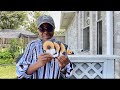African Diasporic Seeds Seedhaul2023 SistahSeeds