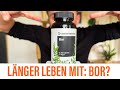 BOR ING Von Wegen Warum DU Bor Kennen Solltest LÄNGER LEBEN MIT BOR