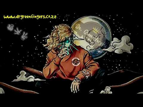 Feedback - Feat Mina Knock