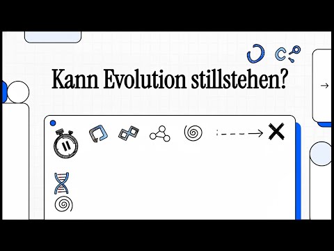 Das Hardy-Weinberg-Gleichgewicht | EINFACH ERKLÄRT