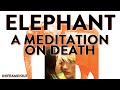 ELEPHANT 2003 A Meditation On Death