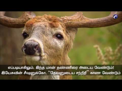 Deer Life! (Mark of Hunger for God)