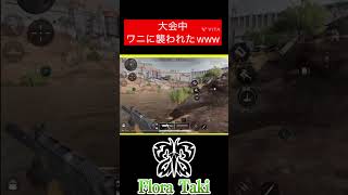 大会中にワニに襲われるWWW【デルタフォースモバイル】 #瀧