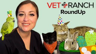 RoundUp: T-Bone Goes to a Specialist and More! by Vet Ranch
