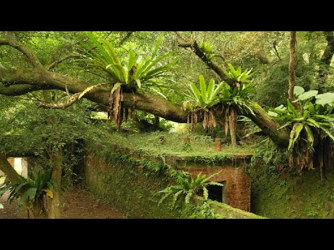 Drone/ruínas do distrito de Pingxi, nova cidade de Taipei, Taiwan, "Stone Bottom Great Incline"