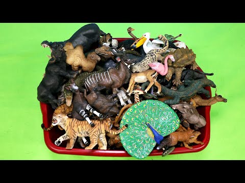 Papo Wild Animal Figurines Toy Collection - Learn Animal Names