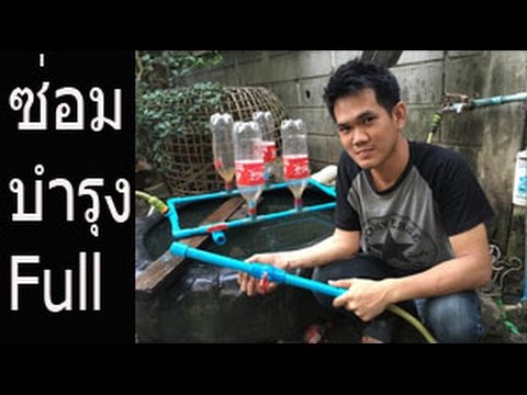 ธ อร์จี้ค้อนในทองคำ Dima Bilan ขนาดเล็กกระเจี๊ยว