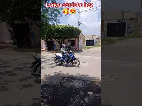 desde el barrio san pedro de lorica #seguidores