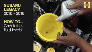 How to Check the fluid levels on the Subaru Legacy 2010 to 2016