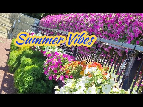 Summer Vibes