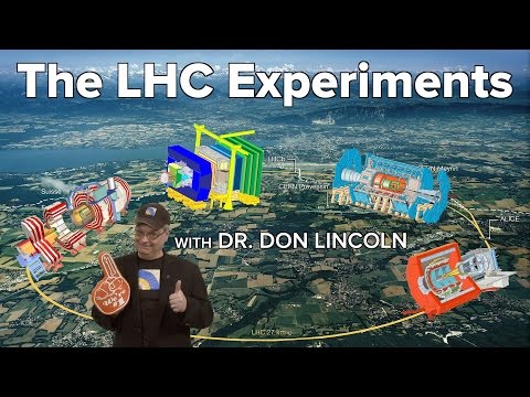 The LHC Experiments
